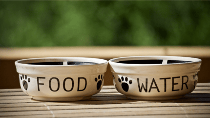 Food and water bowl