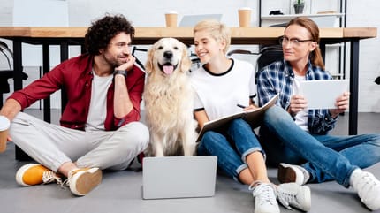 Hund mit drei fröhlichen Menschen im Büro