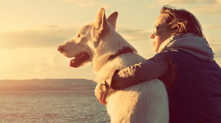 Welche Hunde helfen gegen Depressionen?
