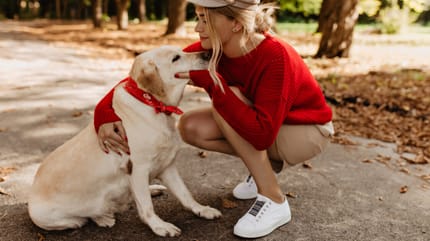 weekendowa opieka nad psem