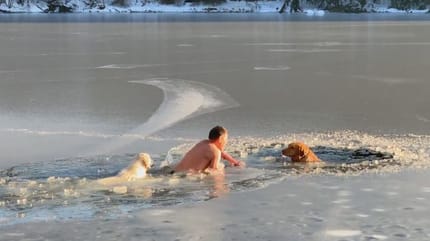 Mann und zwei Hunde im zugefrorenen See