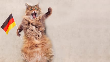 Katze mit Deutschlandfahne