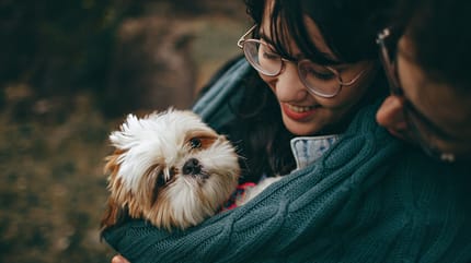 dog in the arms of his owner