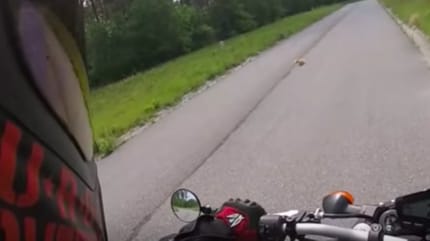 Motorradfahrer auf Straße