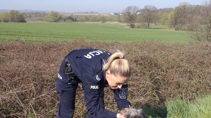 Polizistin mit Hund am Straßenrand