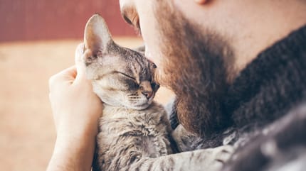 tu gato se comporta como tu