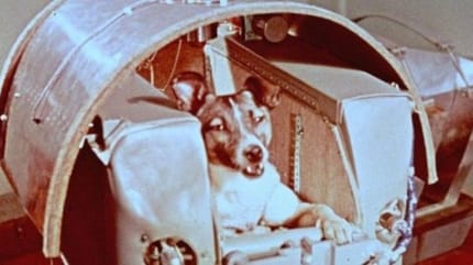 El primer perro en ir al espacio