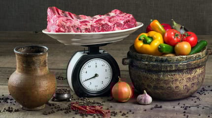 Barf-Rechner: Wie viel Futtermenge in Abhängigkeit vom Gewicht?