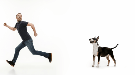 Mann hat vor Hund Angst