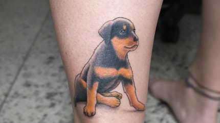 Die schönsten Rottweiler-Tattoos auf Instagram