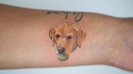 Die schönsten Labrador-Tattoos auf Instagram