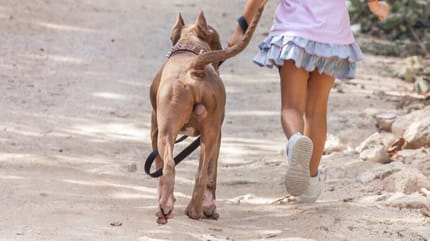 Mädchen mit Hund im Wald