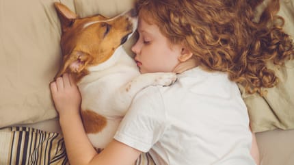 Ginger girl asleep in bed with dog