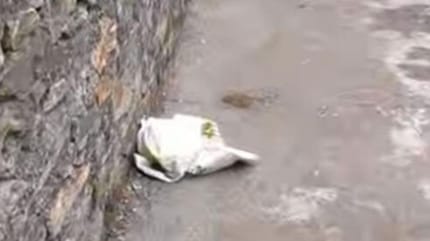 Plastic bag found on side of road
