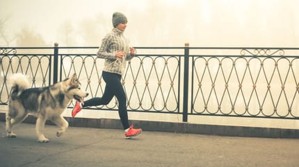 Joggen mit Hund