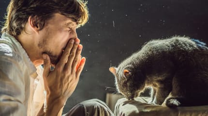 Mann niest gegenüber Katze