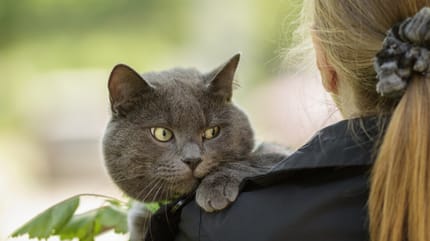 gatto-in-braccio-ad-una-donna