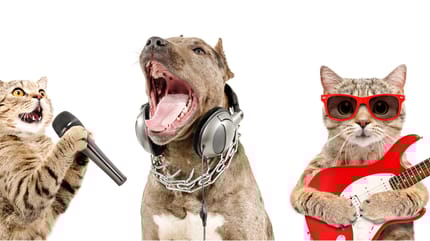 canciones dedicadas a animales en español