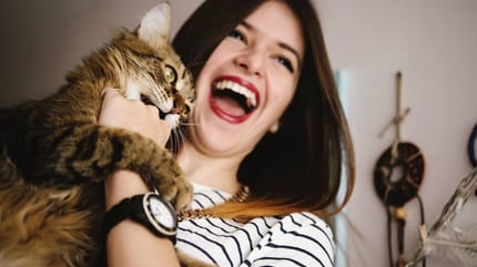 gatto--morde-padrona