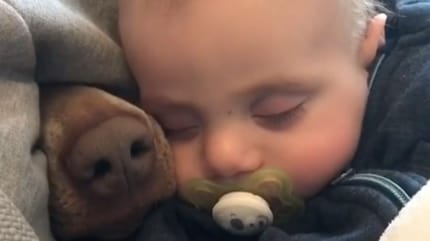 Mum holds sleeping baby when a brown snout suddenly joins cuddle time (video)
