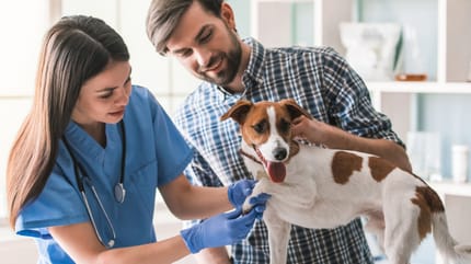 Vet with dog and its owner