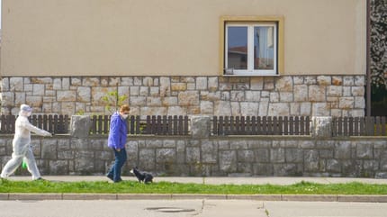 coronavirus sacar al perro