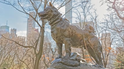 Die Geschichte von Balto, dem berühmten Schlittenhund