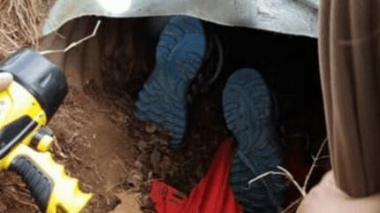 niño rescata perros