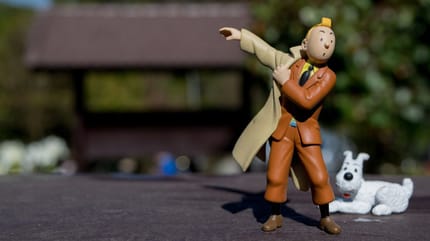 Tim und Struppi, der Hund