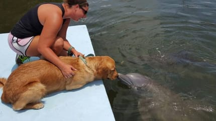 True friendship knows no limits!