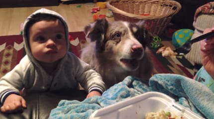 Baby und Hund schauen aufmerksam