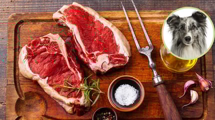 Rindfleisch für Hunde