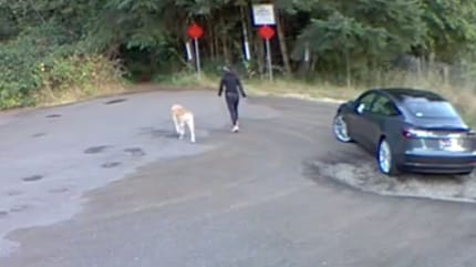 De verzorger laat de hond achter