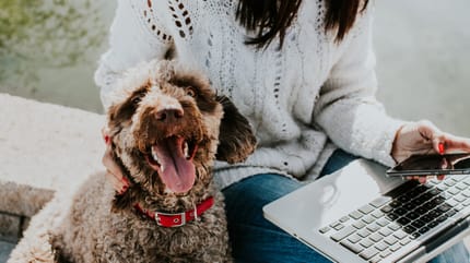 Dog sitting next to owner who is on her phone and computer