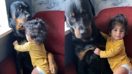 kind knuffelt een hond