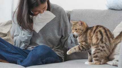 ragazza allergica cerca rimedi per l'allergia ai gatti