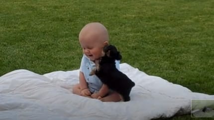 Baby und Yorkie-Welpe