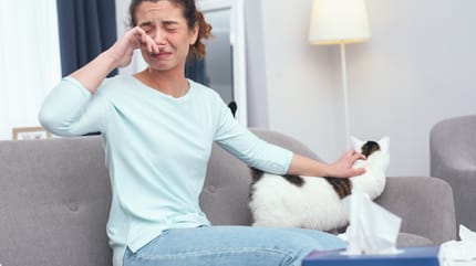 Woman with cat allergies and cat on the sofa