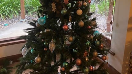 Geschmückter Tannenbaum vor Fenster