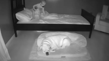 Dziecko co noc wychodzi z łóżeczka. To, co wtedy robi pies, jest wzruszające