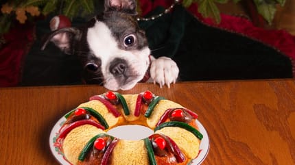 roscon de reyes para perros