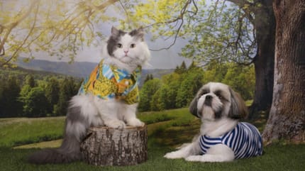 cane-e-gatto-umanizzati