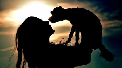 cane e padrona al tramonto