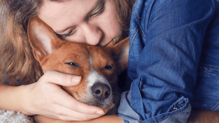 Que hacen los perros cuando van a morir