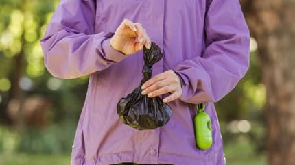 dónde se tira la caca de perro