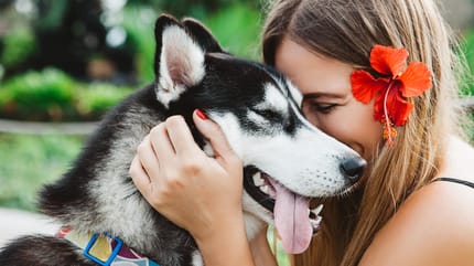perro feliz junto a su humana