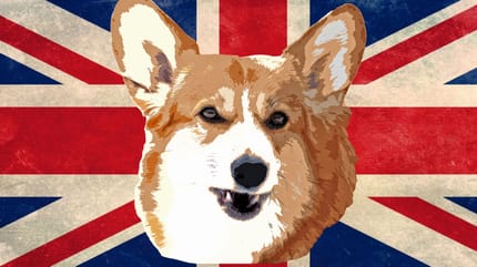 UK flag with corgi face