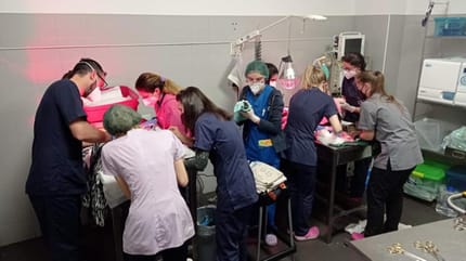 Staff della clinica veterinaria