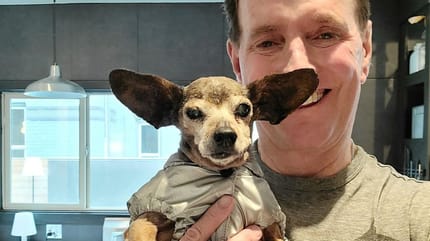 Mann verlangt im Tierheim etwas Ungewöhnliches