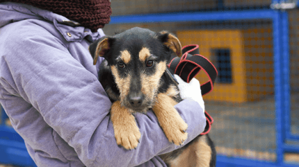 Vrouw met puppy in armen